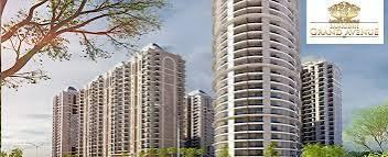 Samridhi Grand Avenue Samridhi Grand Avenue
